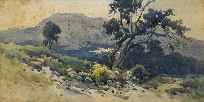 Old Olive Tree by Angelos Giallinas